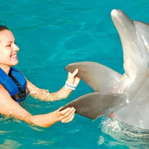 Dolphin Encounter In Punta Cana