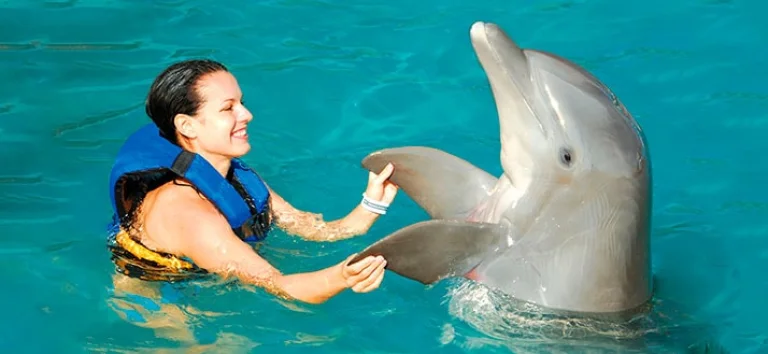 Catamaran & Dolpphin Encounter In Punta Cana