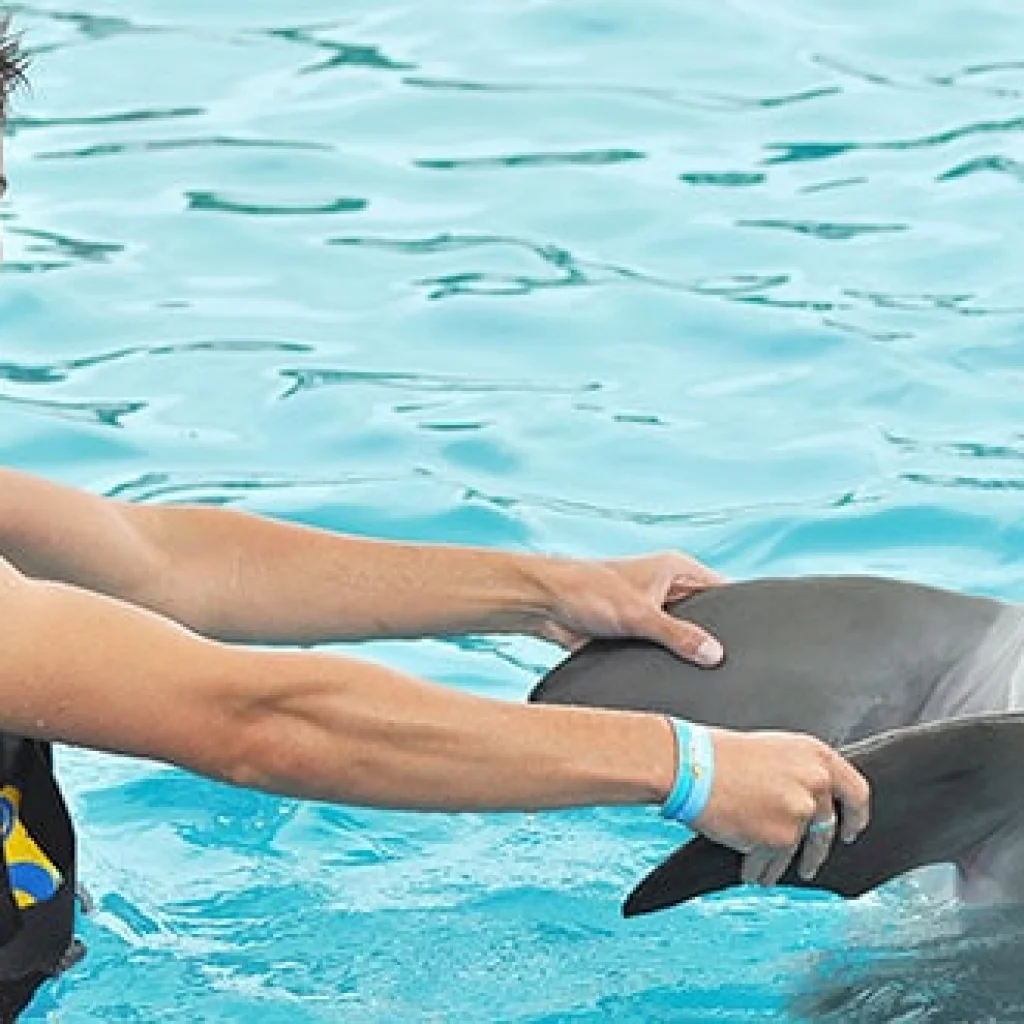 dolphin-encounter-dance