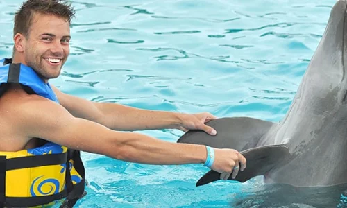 dolphin-encounter-dance