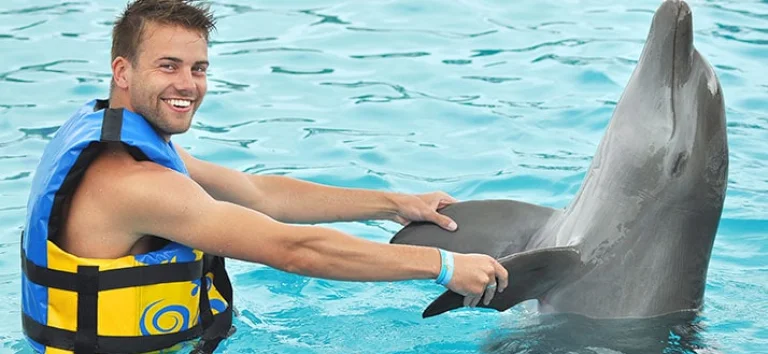 dolphin-encounter-dance