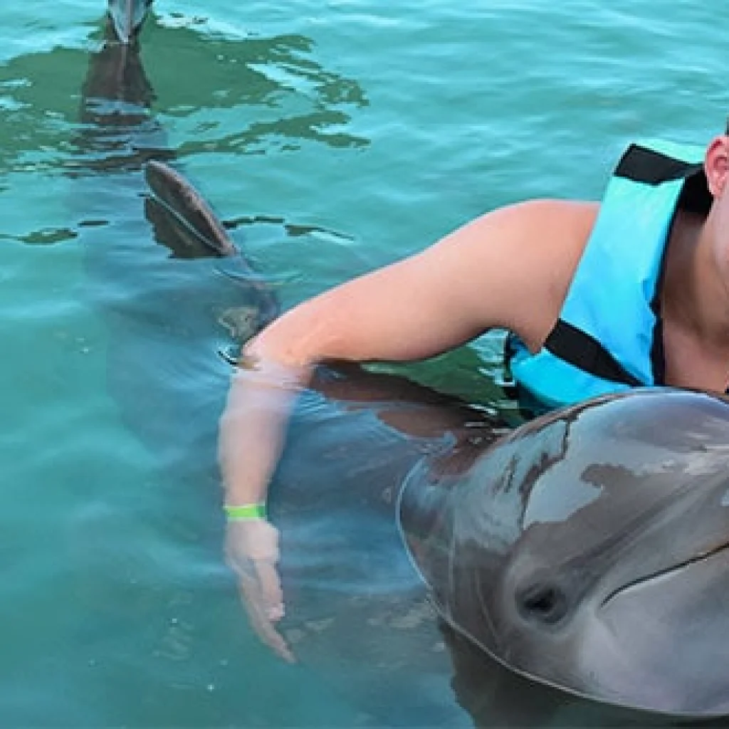 dolphin-encounter-punta-cana