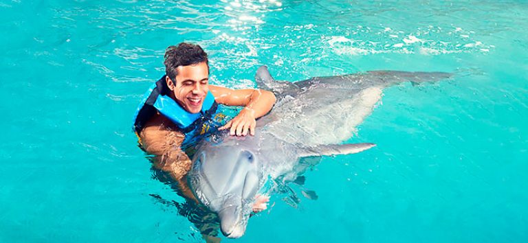dolphin-hug-bavaro