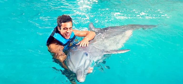 dolphin-hug-bavaro