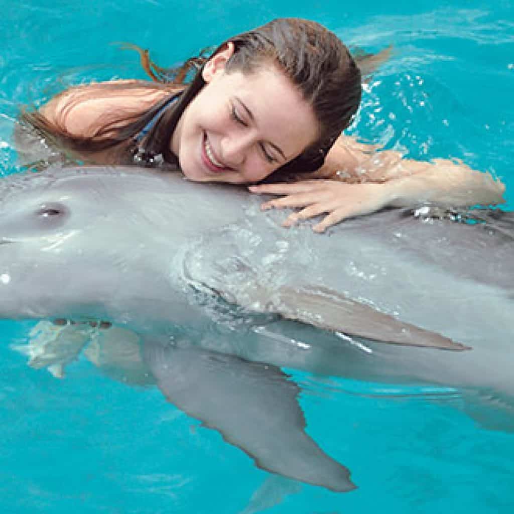 Catamaran & Dolpphin Encounter In Punta Cana