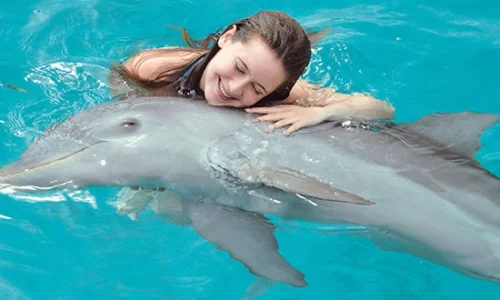 Catamaran & Dolpphin Encounter In Punta Cana