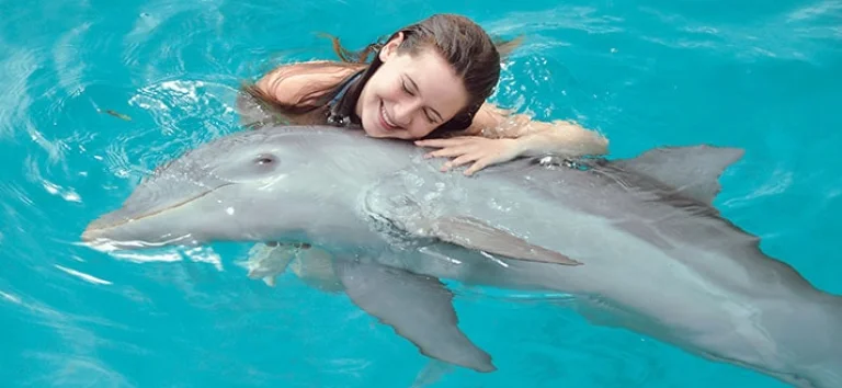 dolphins-in.bavaro