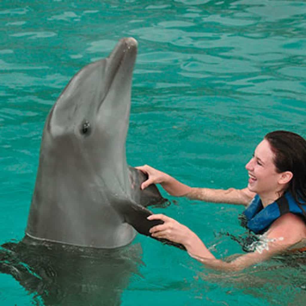 swim-adventure-hug