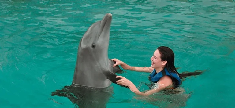 swim-adventure-hug