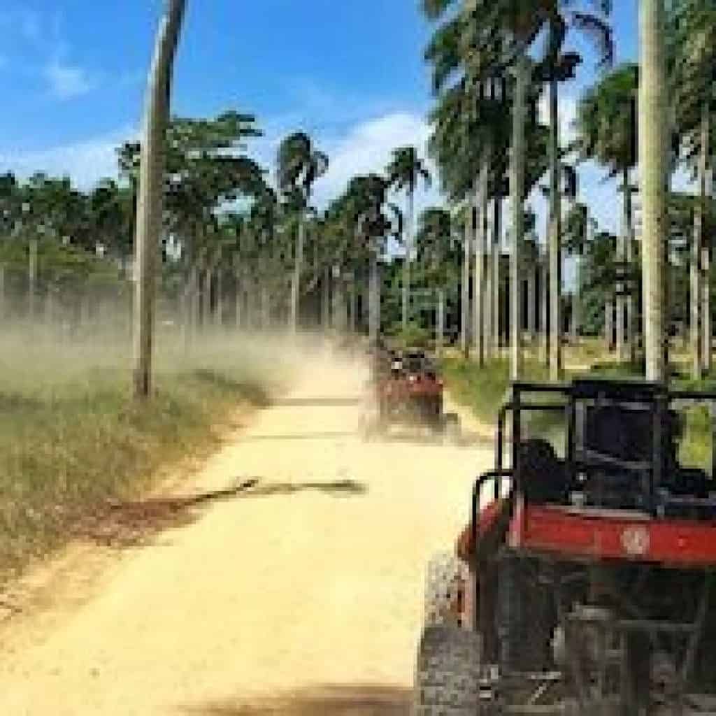Dune Buggy tour