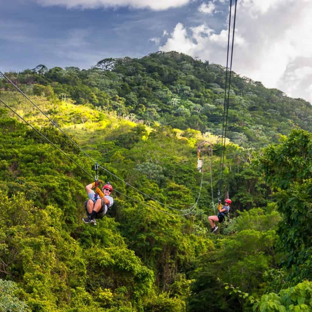 Monkeyland Zip Line