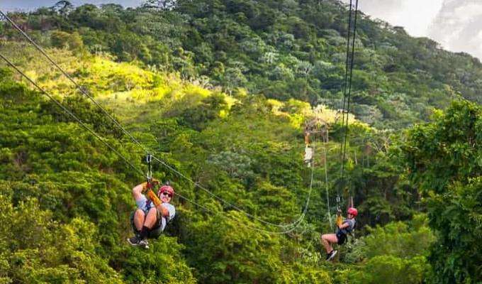 Monkeyland Zip Line