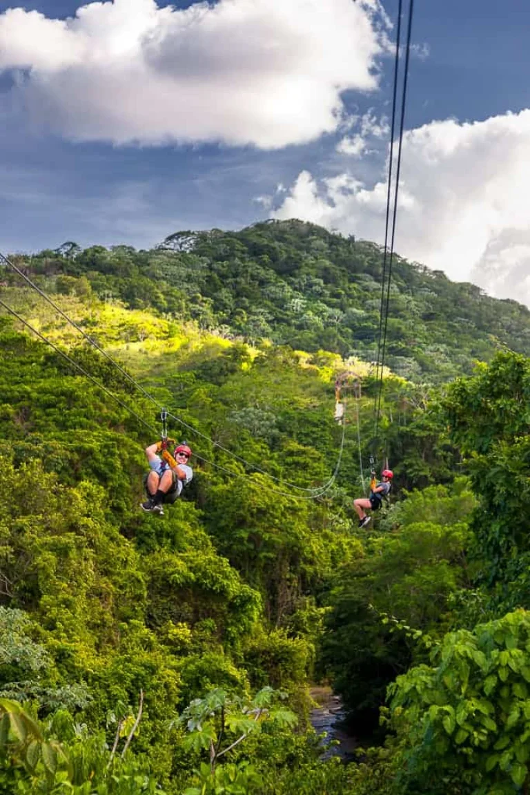 Monkeyland Zip Line