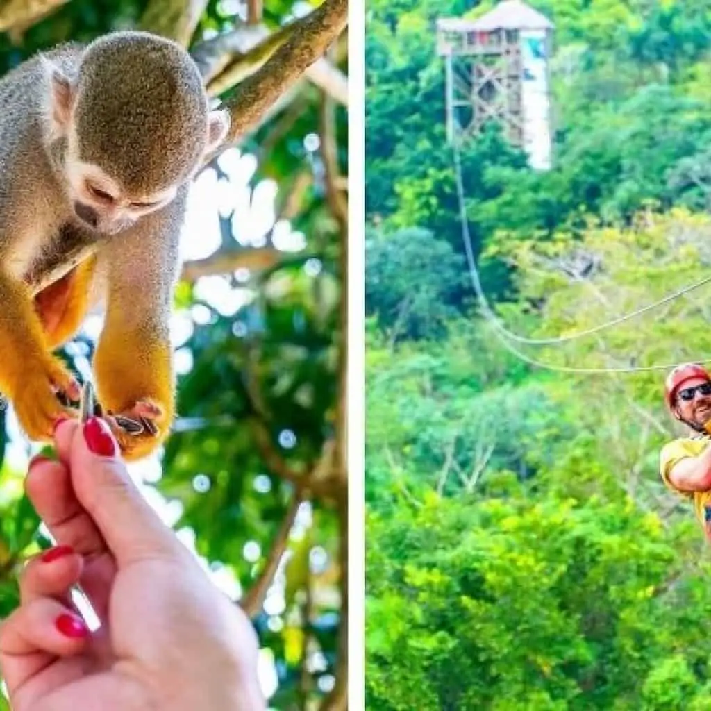 Zip Line & Monkeyland Adventure - Punta Cana