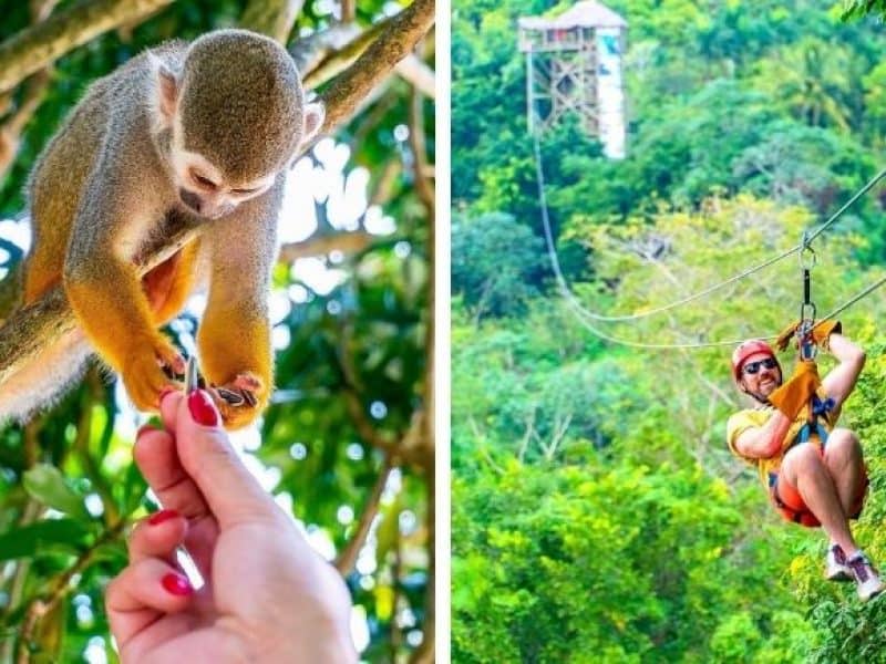 Schedule Punta Cana excursions & tours before you arrive