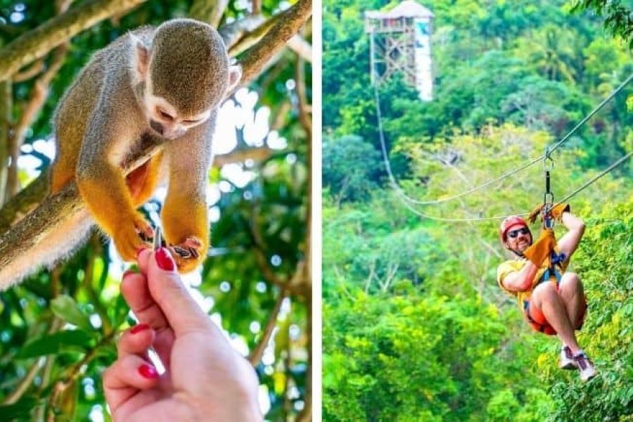 Zip Line & Monkeyland Adventure in Punta Cana, Dominican Republic