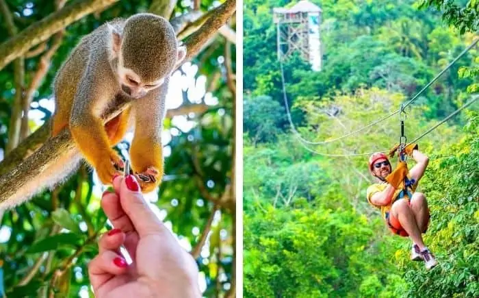 Visite de Monkeyland et de la tyrolienne à partir de Punta Cana