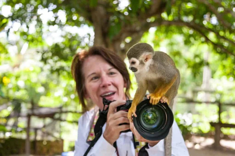 Monkeyland Zip Line