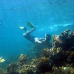 Snorkeling & Diving