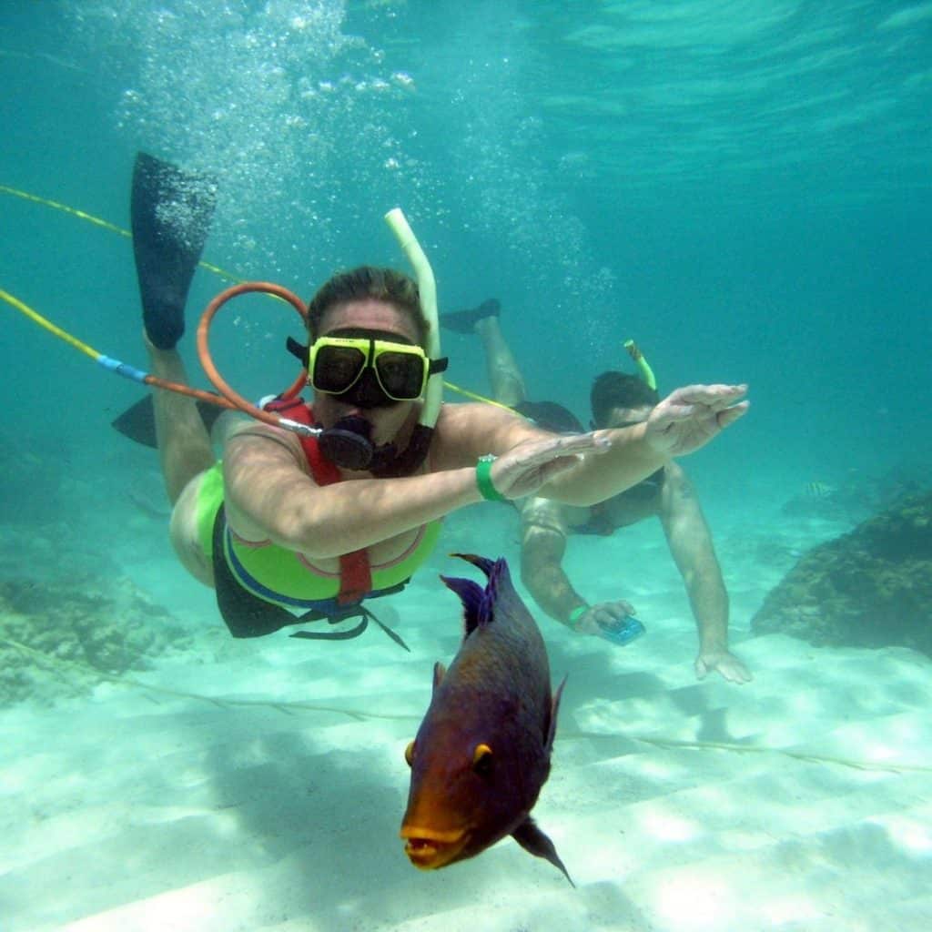 Snorkeling à Punta Cana