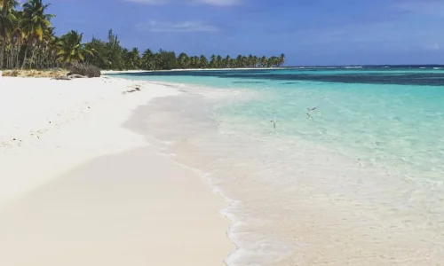 Saona Island Beach