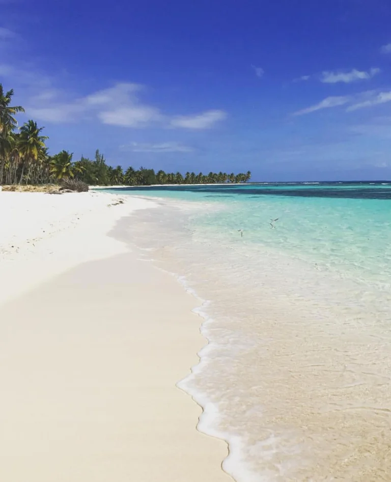 Saona Island Beach