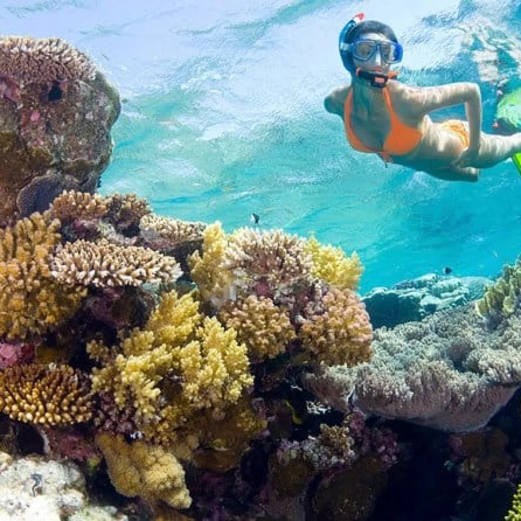 Snorkeling at Isla Catalina