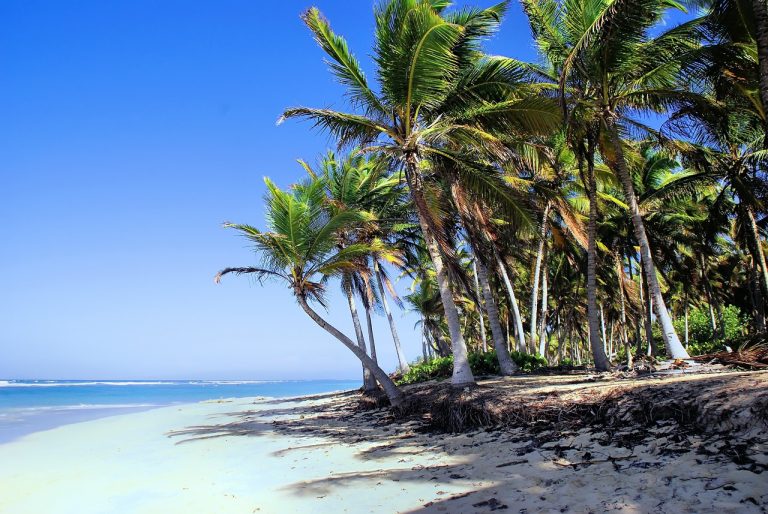 Is Punta Cana Safe? Your Guide to a Secure Vacation in 2023 Punta