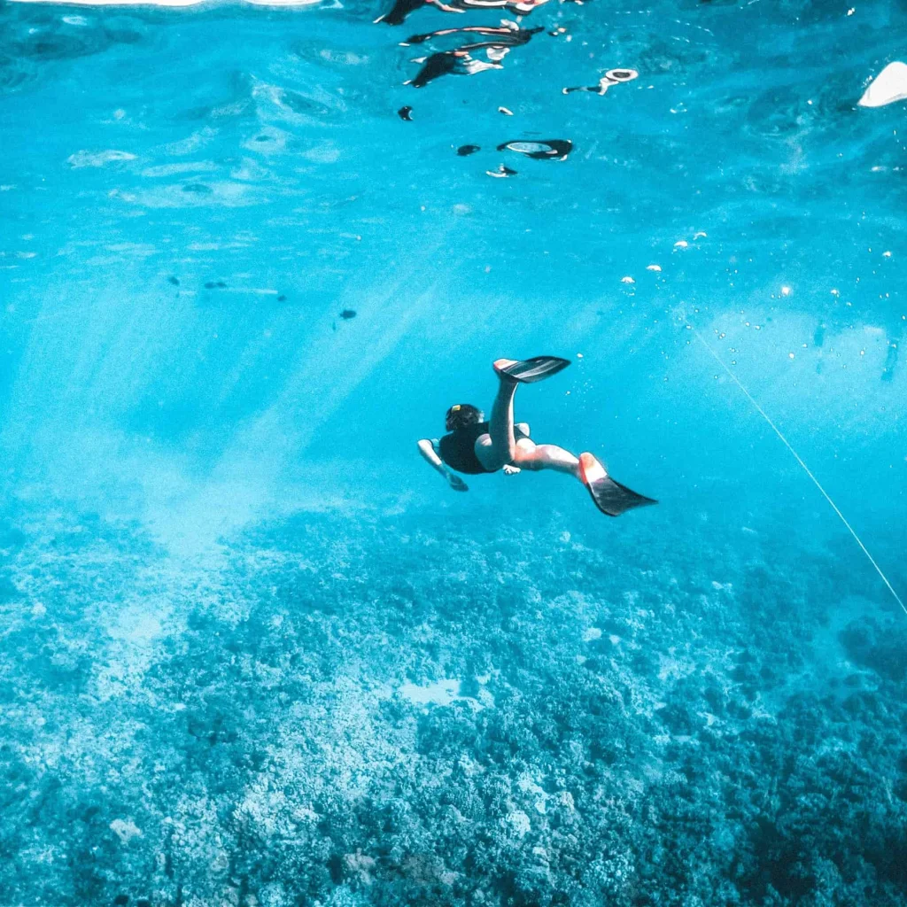 Snorkeler exploring vibrant coral reefs in Punta Cana