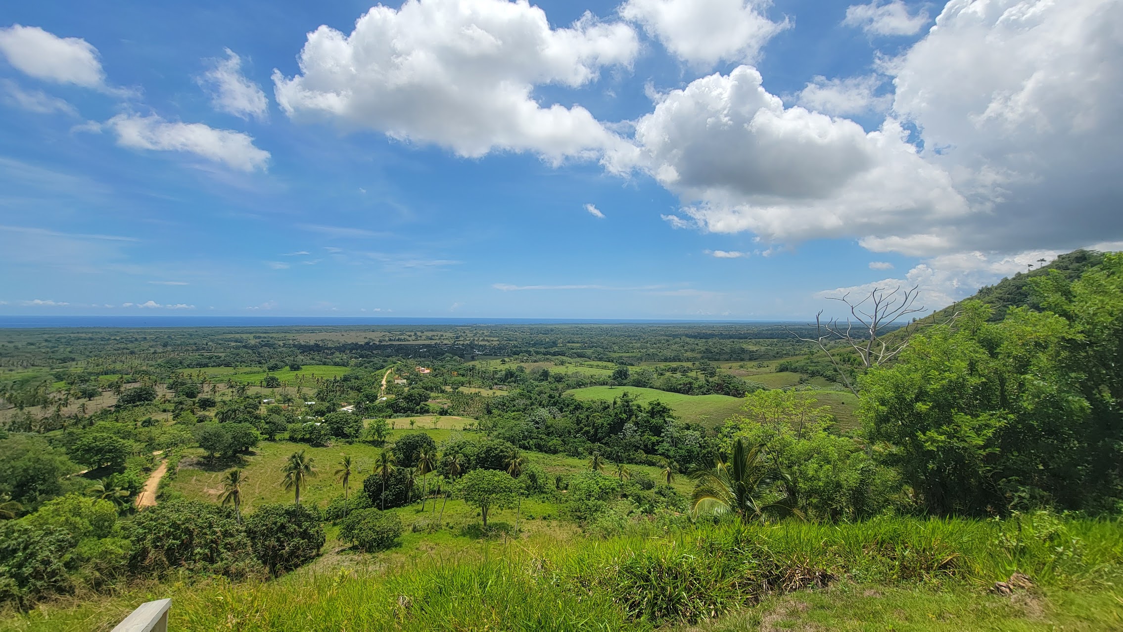 Mountain Hill Stop: Sugar Cane Tasting