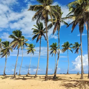 Playa Macao Punta Cana