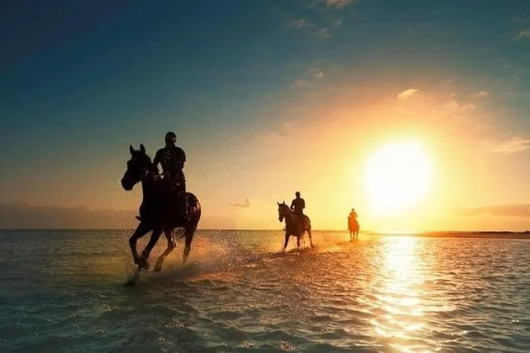 Sunset Horseback Riding Tour from Punta Cana