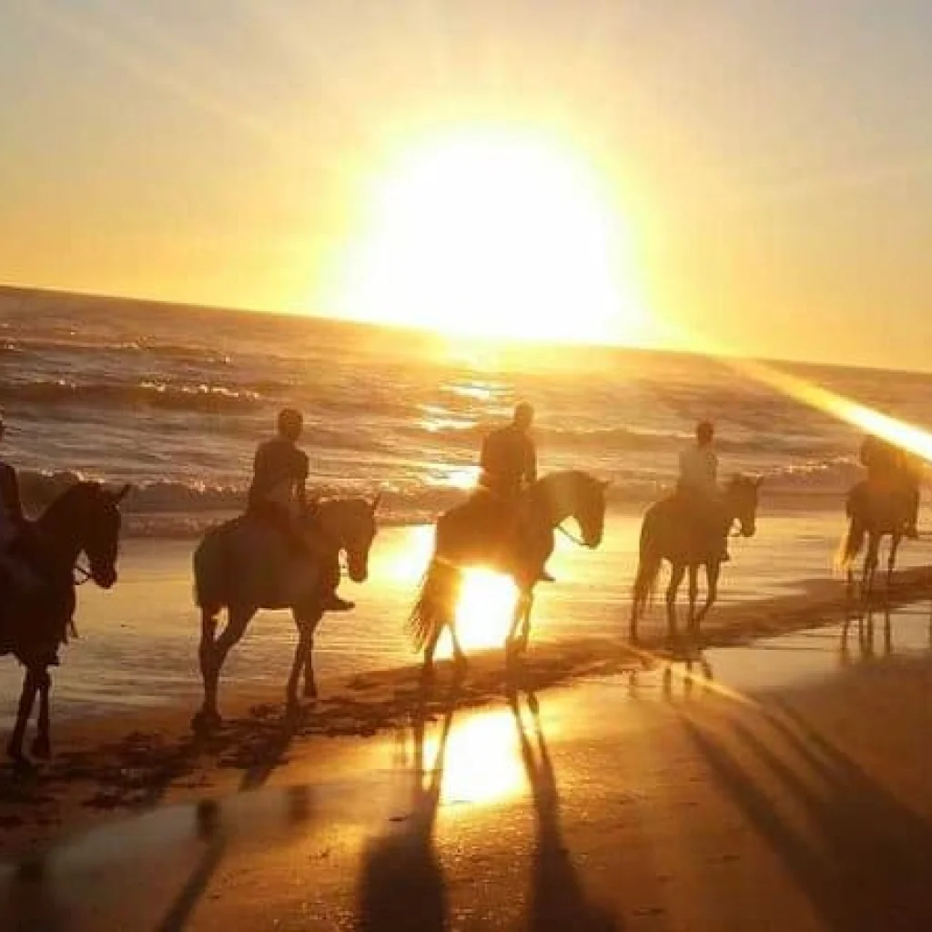 Sunset Horseback Riding Tour from Punta Cana