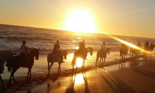 Sunset Horseback Riding Tour from Punta Cana