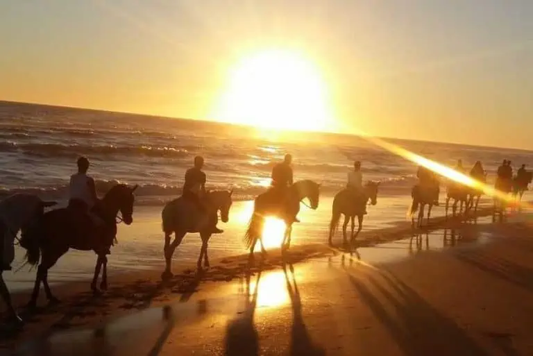 Sunset Horseback Riding Tour from Punta Cana