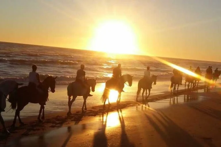 Sunset Horseback Riding Tour from Punta Cana