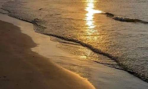 Sunset Horseback Riding Tour from Punta Cana