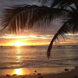 Sunset Horseback Riding Tour from Punta Cana