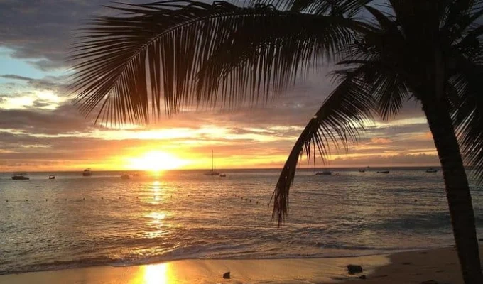 Sunset Horseback Riding Tour from Punta Cana