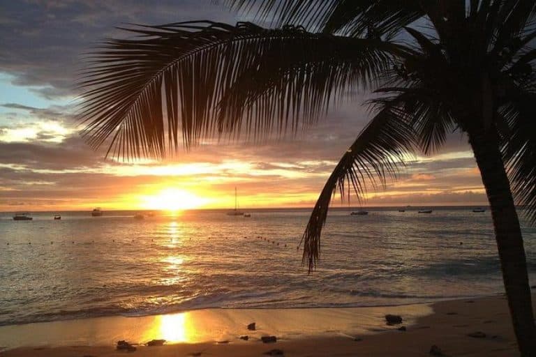 Sunset Horseback Riding Tour from Punta Cana