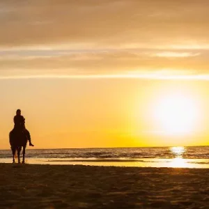 Sunset Horseback Riding Tour from Punta Cana