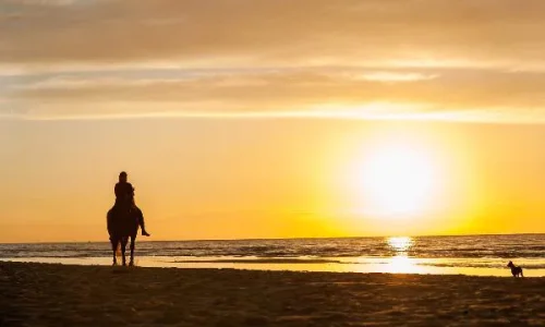 Sunset Horseback Riding Tour from Punta Cana