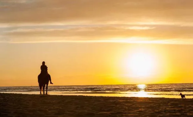Schedule Punta Cana excursions & tours before you arrive