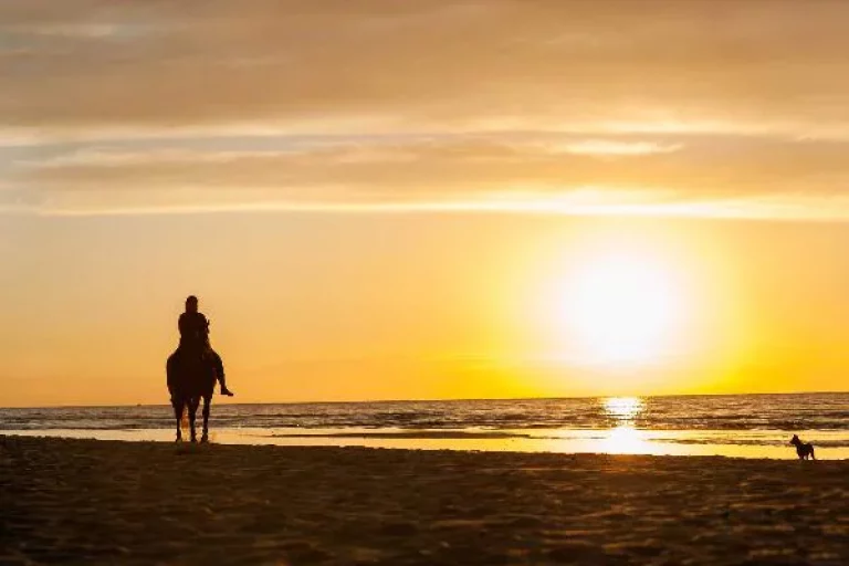 Sunset Horseback Riding Tour from Punta Cana