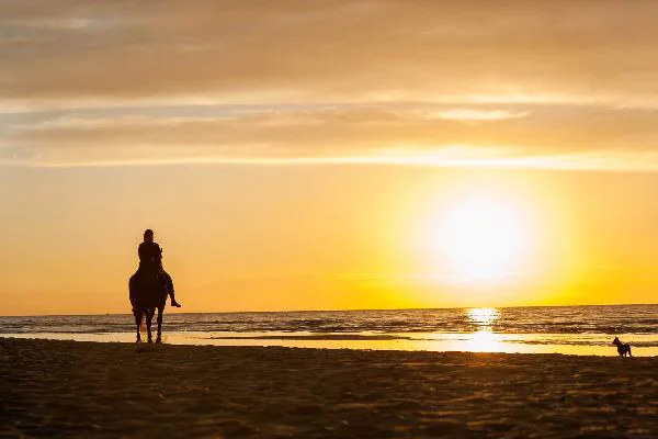 Randonnée à cheval au coucher du soleil depuis Punta Cana