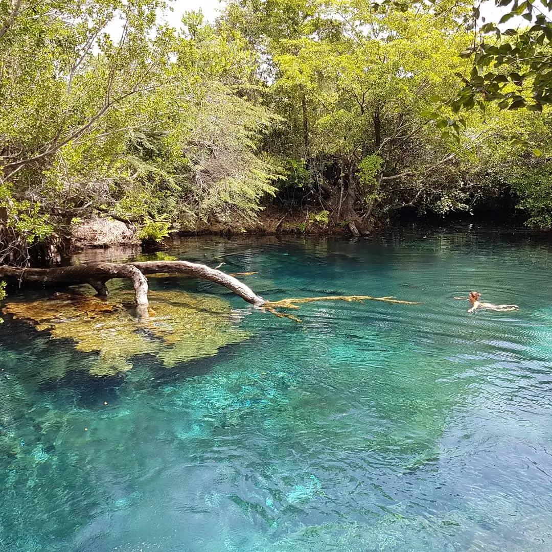 ojos indigenas punta cana