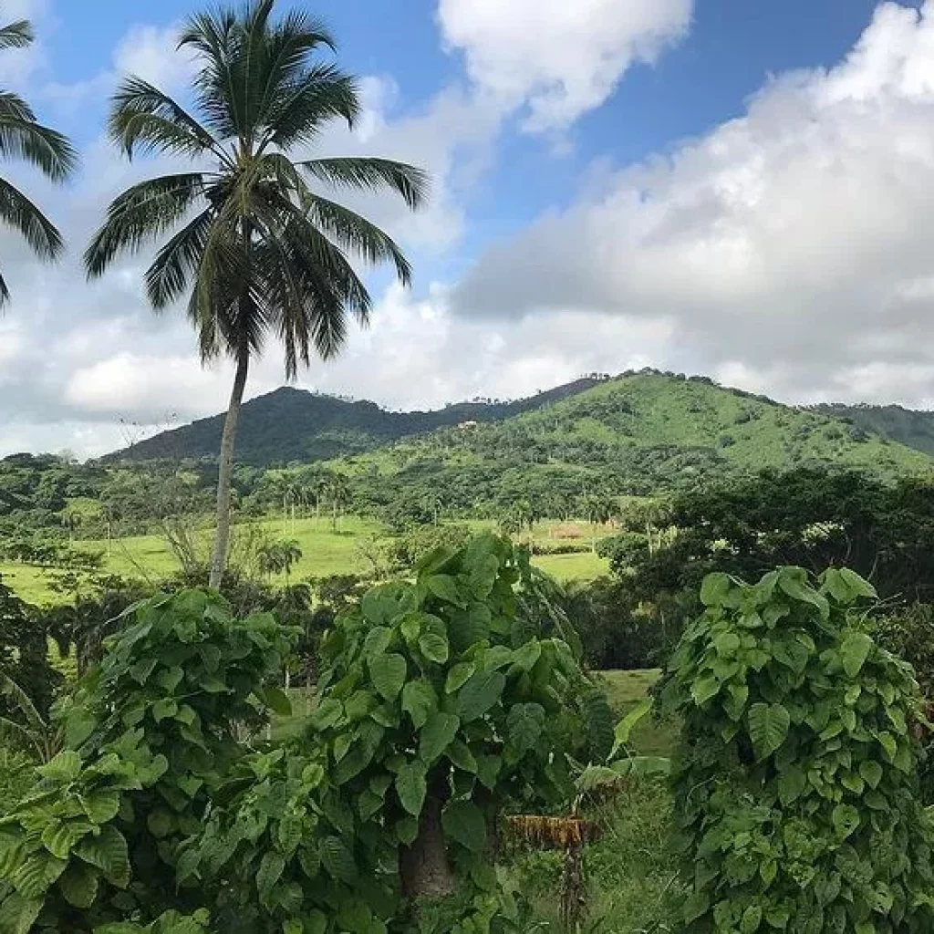 Punta Cana Safari Cultural Tour: Countryside