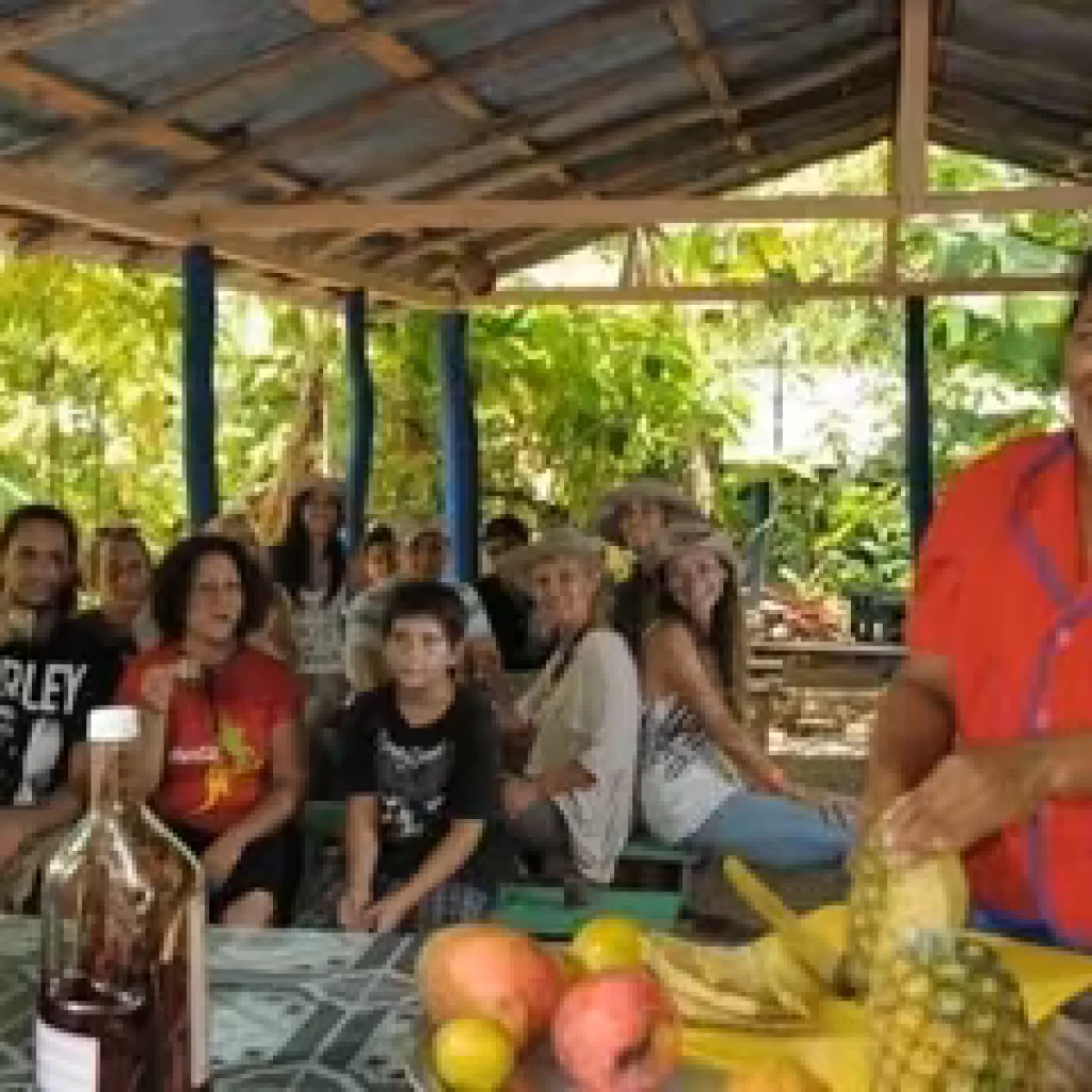 Punta Cana Safari Cultural Tour: Presentation covering local fruits