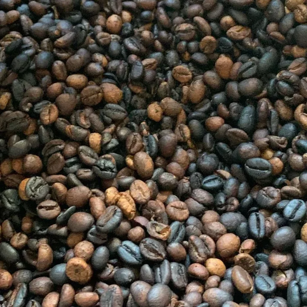 Punta Cana Safari Cultural Tour: Coffee Beans