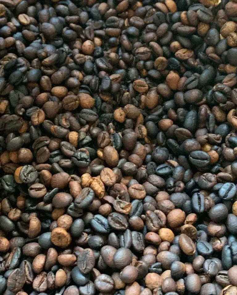Punta Cana Safari Cultural Tour: Coffee Beans
